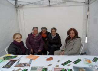 FIRA D´ENTITATS 2013