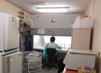 IMPORTÀNCIA DE LA INVESTIGACIÓ